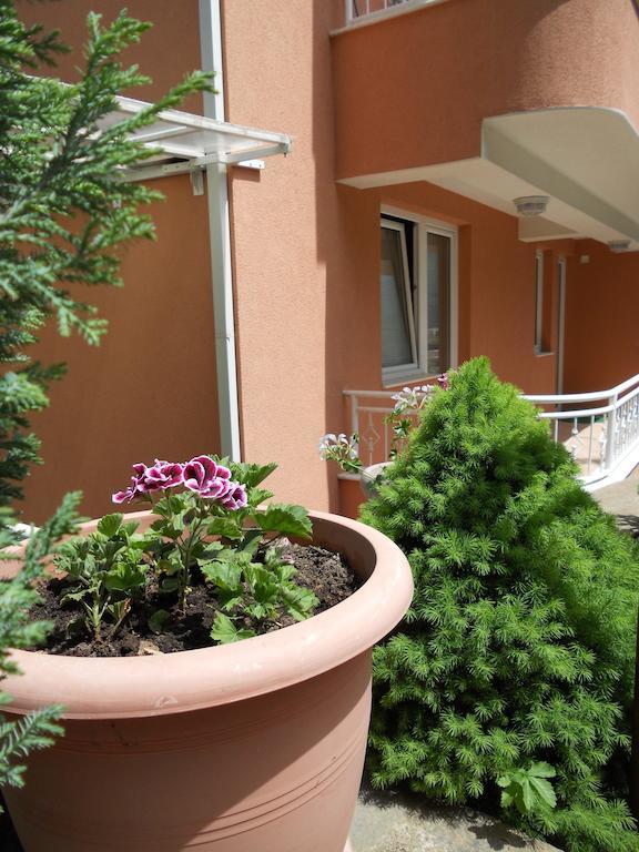Boris & Matej Apartments Ohrid Exteriör bild