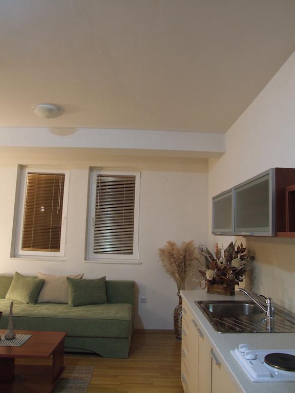 Boris & Matej Apartments Ohrid Rum bild